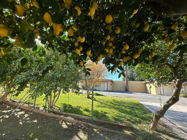 Royal Inn and Suites image 10