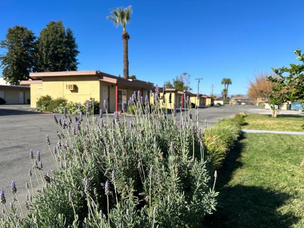 Royal Inn and Suites image 11