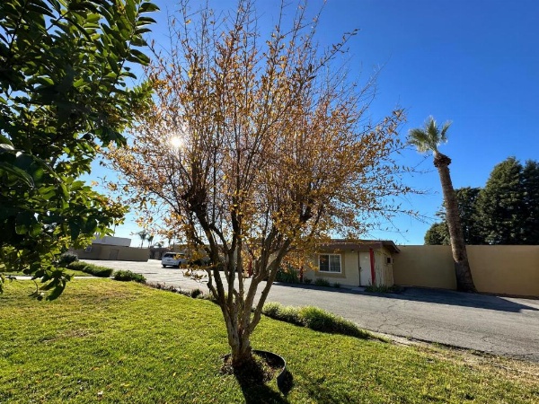 Royal Inn and Suites image 14